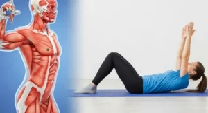 Simple core exercises to support spine and reduce back pain